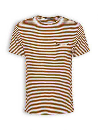 T-Shirt von GreenBomb in bombay brown stripes